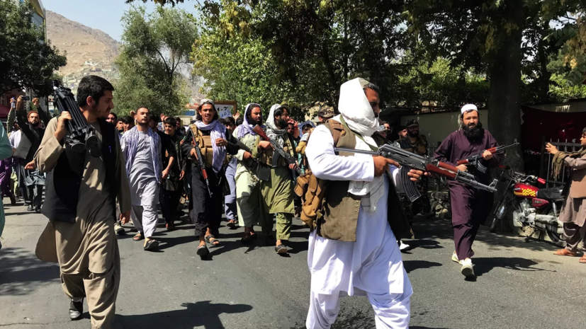 Четырёх выживших в авиакатастрофе в Афганистане человек передали «Талибану»