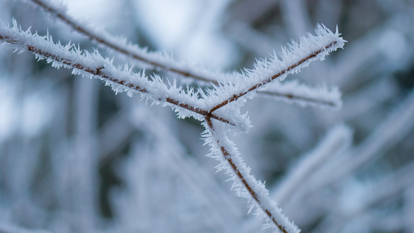 Ночные морозы ожидаются на Ставрополье в середине недели