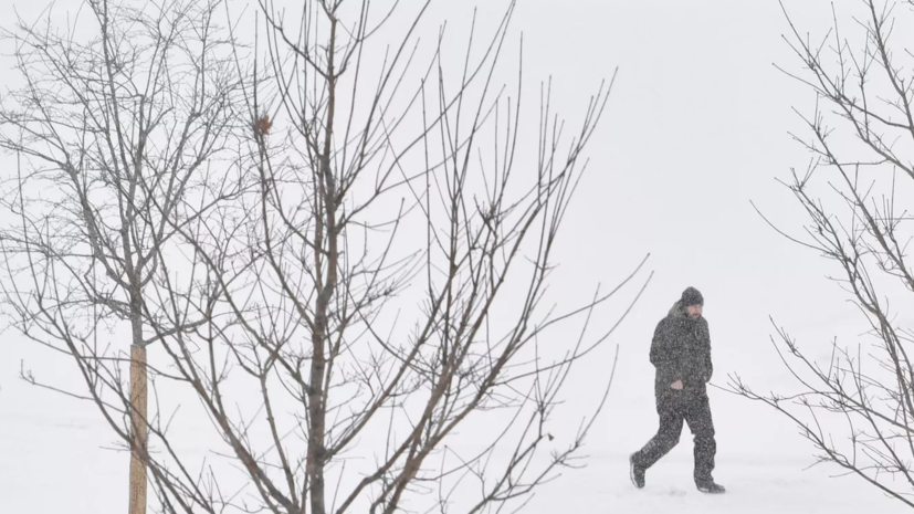 Синоптик Цыганков рассказал о сильных снегопадах в регионах России