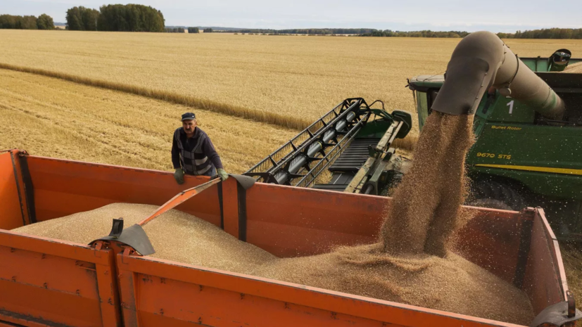 Минсельхоз: Россия в 2023 году получила второй по объёму в истории урожай зерна