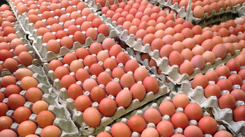 После ценового скачка: куриные яйца в России дешевеют вторую неделю подряд
