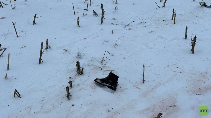 В военной разведке Украины заявили, что не знали, кто был на борту самолёта Ил-76