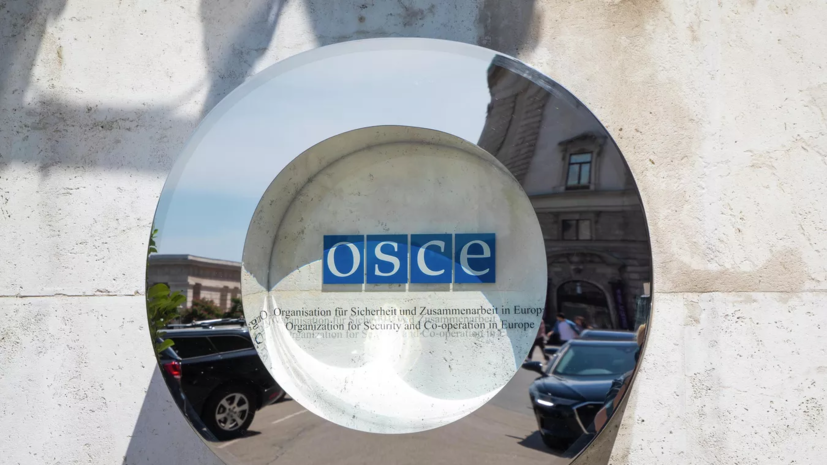 Постпред Лукашевич: Россия создавала ОБСЕ и будет решать, сохранять её или нет