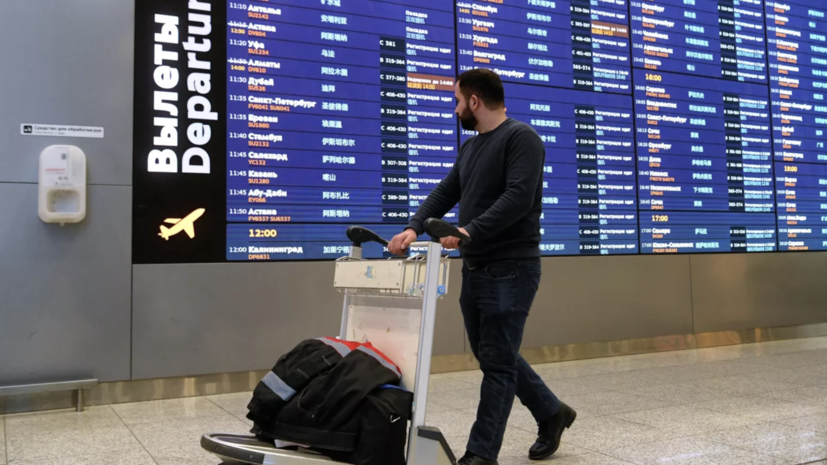 В аэропорту Шереметьево подтвердили задержание пассажира с муляжом гранаты