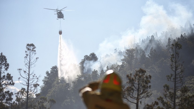 Пожар в аргентинском нацпарке Лос-Алерсес охватил более 1 тысячи га