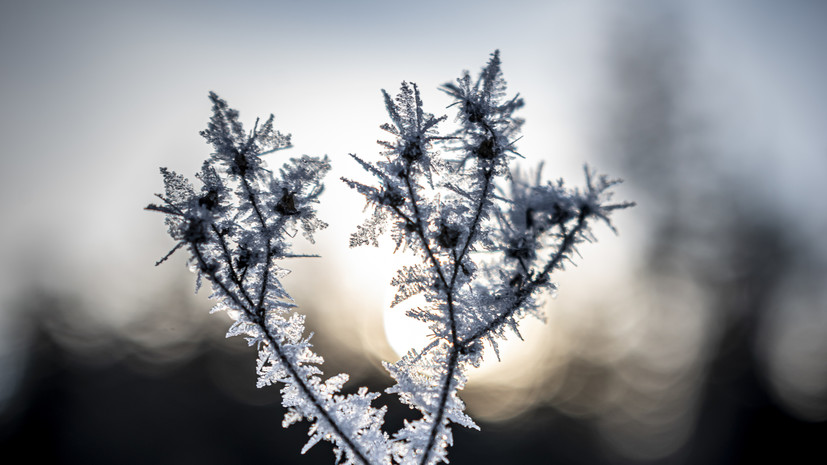 В Приморье ожидается похолодание до -20 °С 31 января