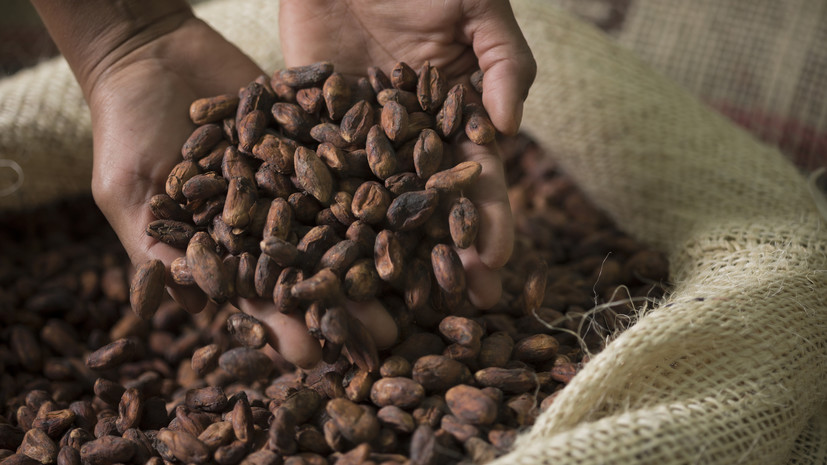 Горький шоколад: с чем связан рекордный рост мировых цен на какао-бобы
