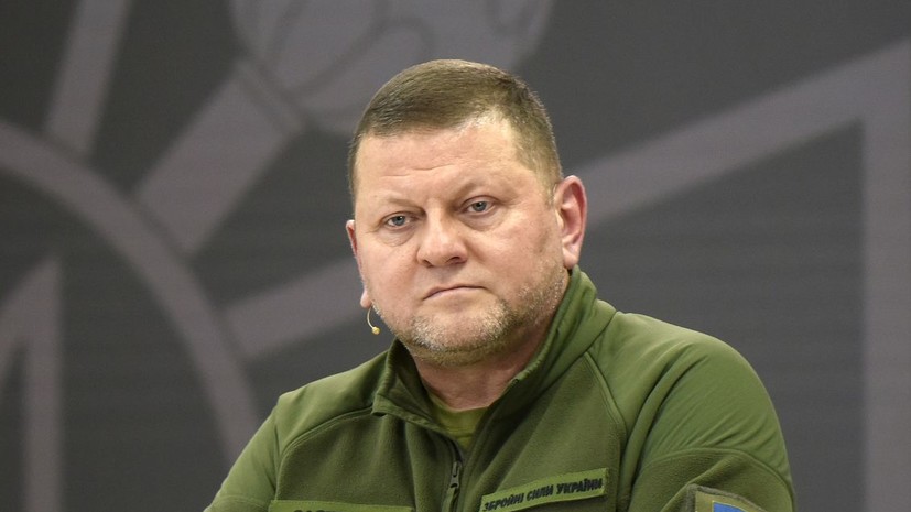 Экс-депутат Рады Берёза утверждает, что Залужный снят с должности главкома ВСУ