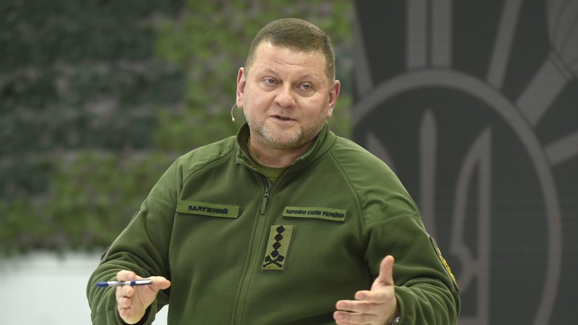 Депутат Рады Гончаренко: Залужному объявили об отставке, но указа пока нет