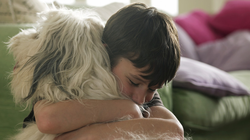 Кинолог Голубев: детям важно объяснить правила общения с собакой