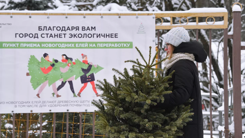 Пункты приёма ёлок в Москве будут работать до 25 февраля