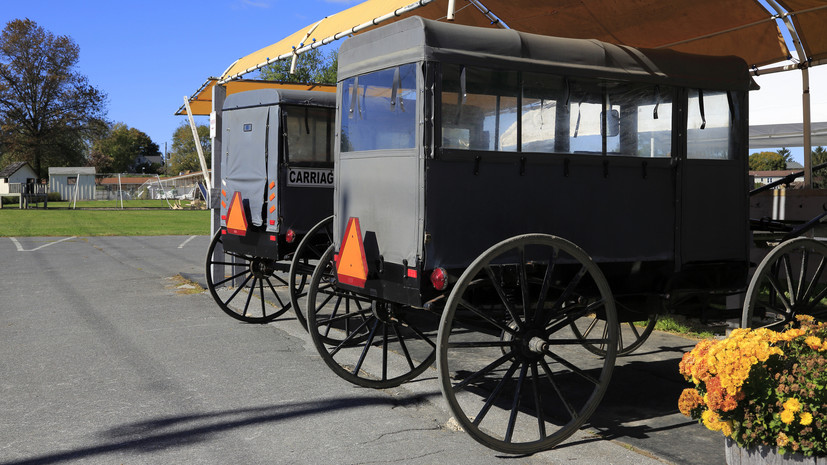 В США женщина угнала припаркованную у магазина конную повозку