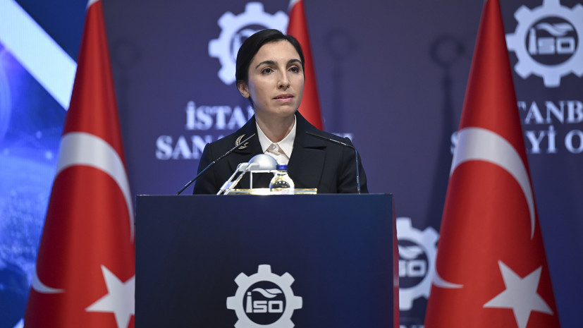 Глава ЦБ Турции попросила Эрдогана освободить её от должности из-за давления