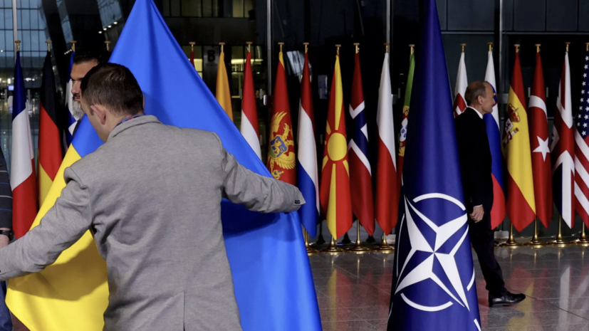 Профессор Фиори заявил, что признание поражения Украины покажет уязвимость НАТО
