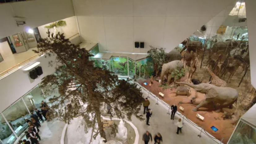 Выставку в честь дня рождения Вернадского проведут в Дарвиновском музее