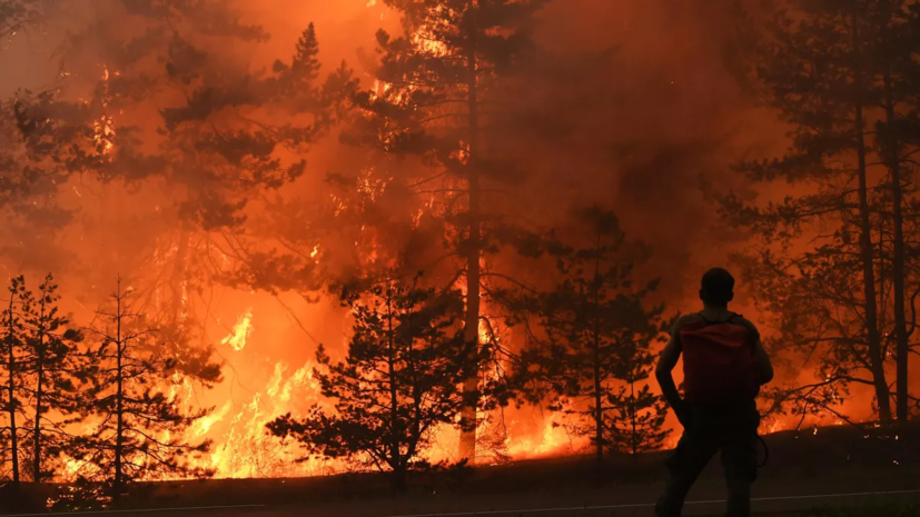 В Чили объявлен двухдневный траур по погибшим из-за лесных пожаров