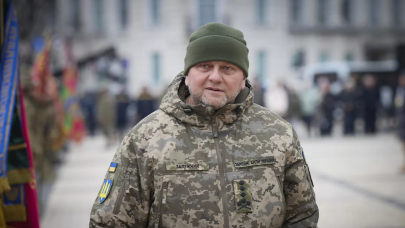Журналист Ронцхаймер: ситуация с Залужным говорит о хаосе в руководстве Украины