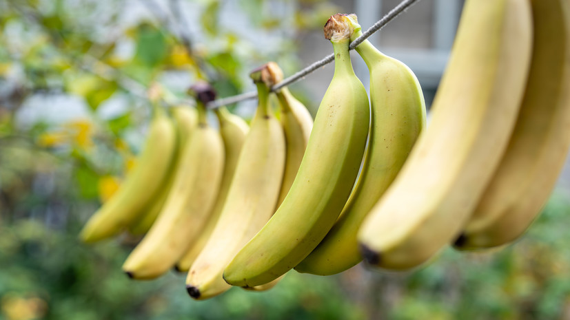 В АКОРТ заявили об отсутствии предпосылок для дефицита бананов в России