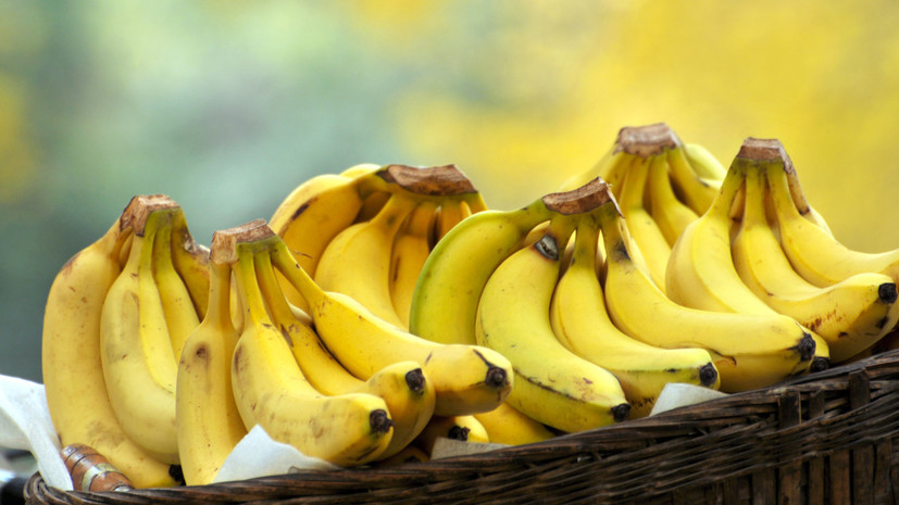 Эквадор предоставил документы для снятия ограничений на ввоз бананов в Россию