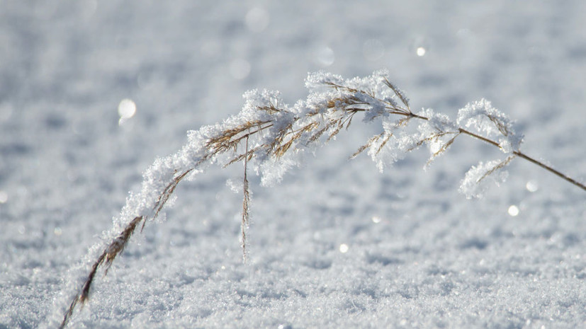 Синоптик Позднякова спрогнозировала потепление в Москве на следующей неделе