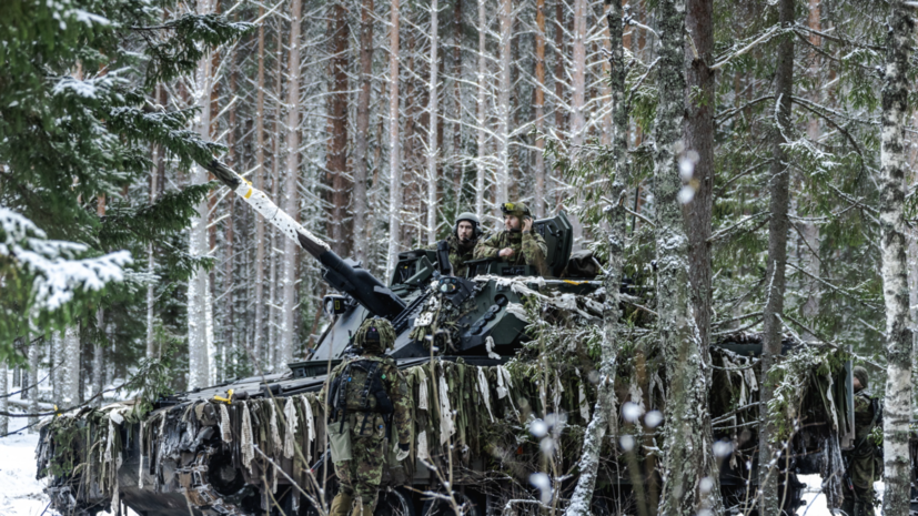 Военные НАТО провели в Эстонии учения в суровых зимних условиях
