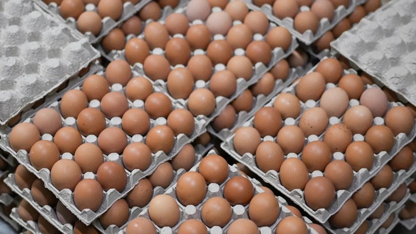 Средняя стоимость десятка яиц в рознице в России опустилась почти до 129 рублей
