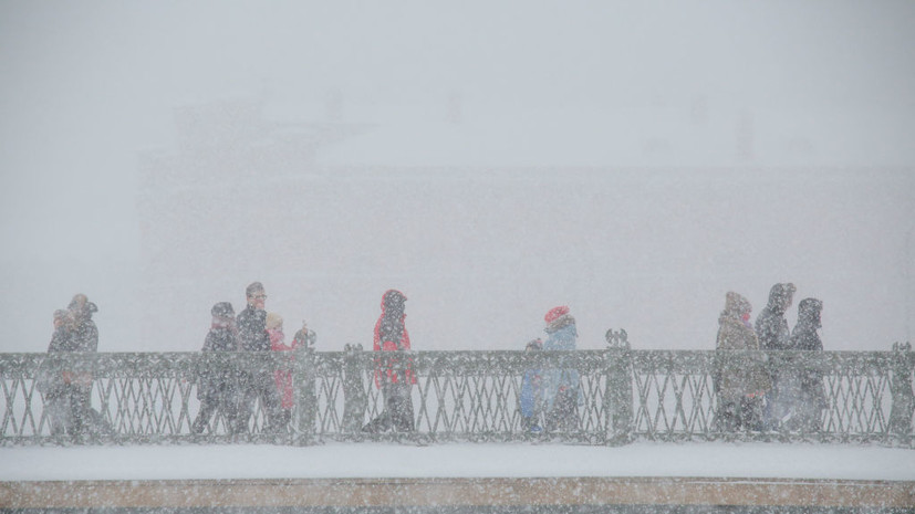 В Петербурге появится 77 новых пешеходных переходов в 2024 году