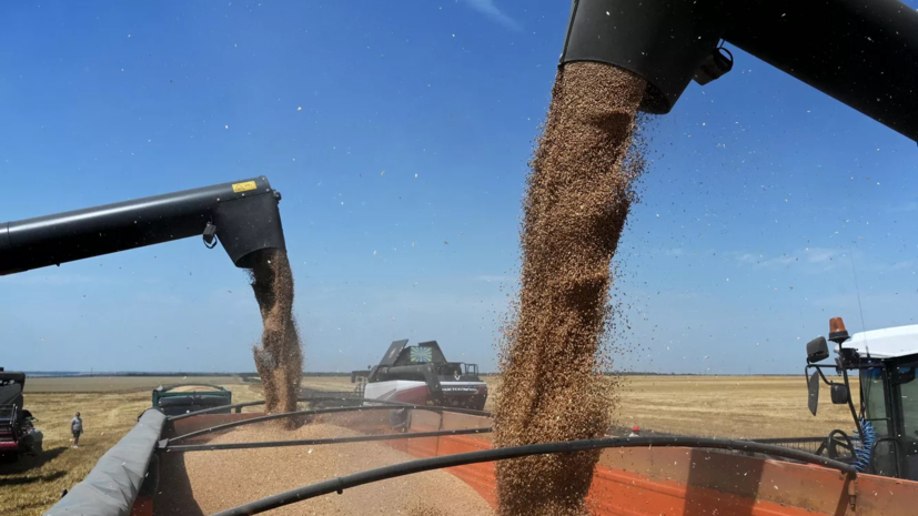 Ульяновская область нарастила объём экспорта зерна
