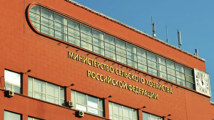 Минсельхоз России предложил продлить запрет на вывоз семян рапса до 31 августа