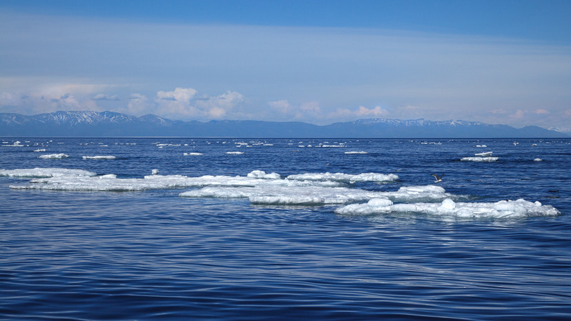 Школьников чуть не унесло в открытое море на льдине во Владивостоке