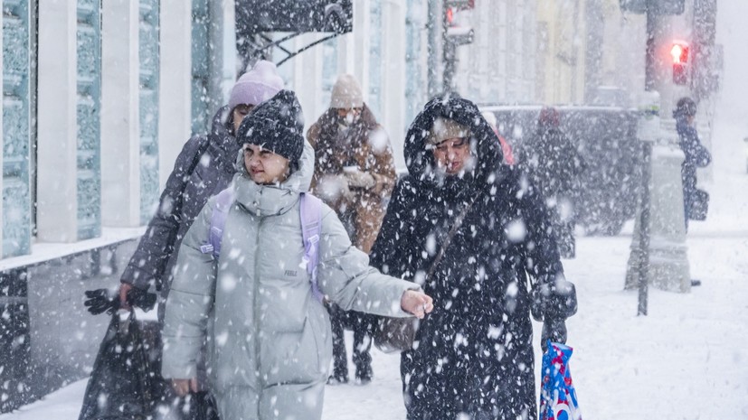 Синоптик Вильфанд спрогнозировал интенсивный снег в Москве 15 февраля
