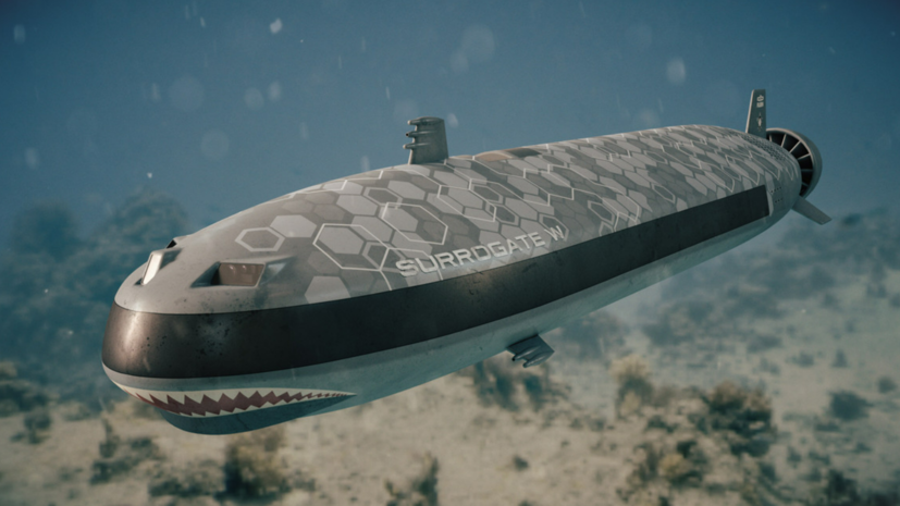 Сверхтяжёлый и автономный: как в России развивается проект по созданию подводного дрона «Суррогат-В»