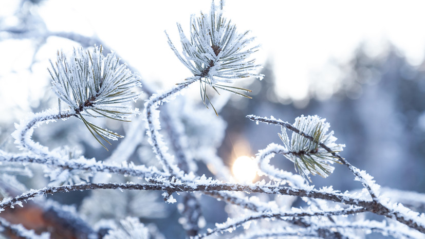 Синоптик Вильфанд предупредил об аномально холодной погоде в ряде регионов Сибири