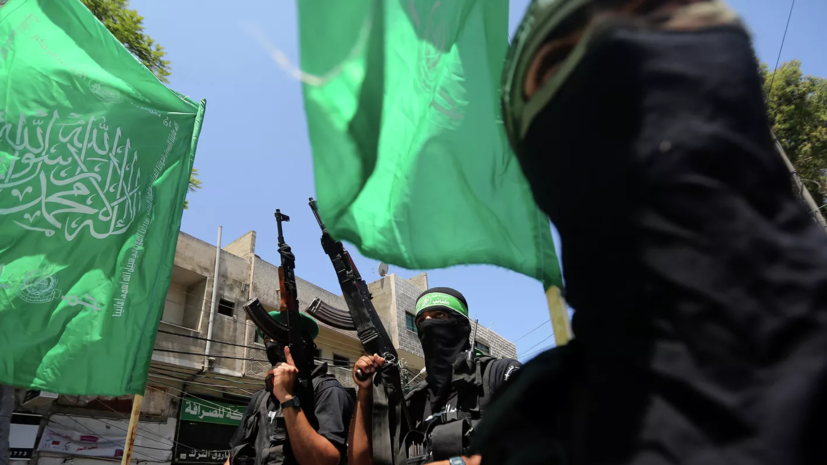 Глава МИД Египта рассказал о расколе между ХАМАС и остальными властями Палестины