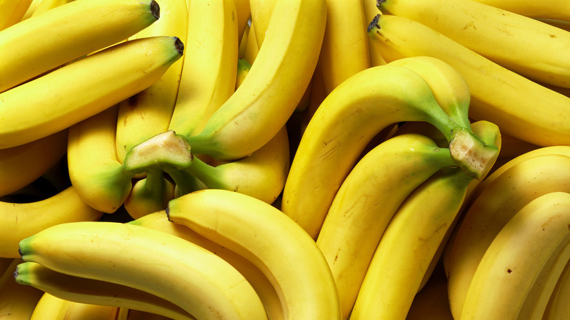 Возобновлена сертификация ввозимых в Россию бананов с пяти предприятий Эквадора