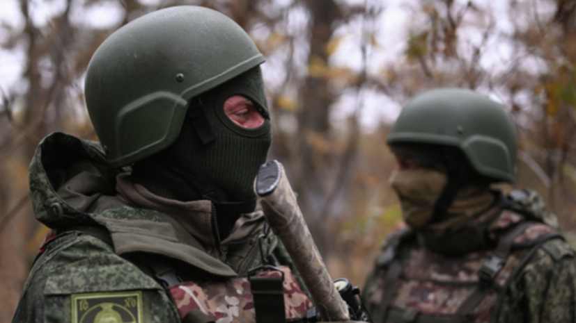Войска России освободили населённый пункт Победа на Донецком направлении
