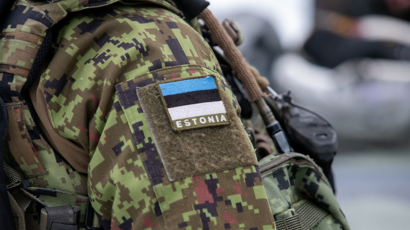 В Минобороны Эстонии предложили забрать все запасы оружия «у всех» и отдать ВСУ
