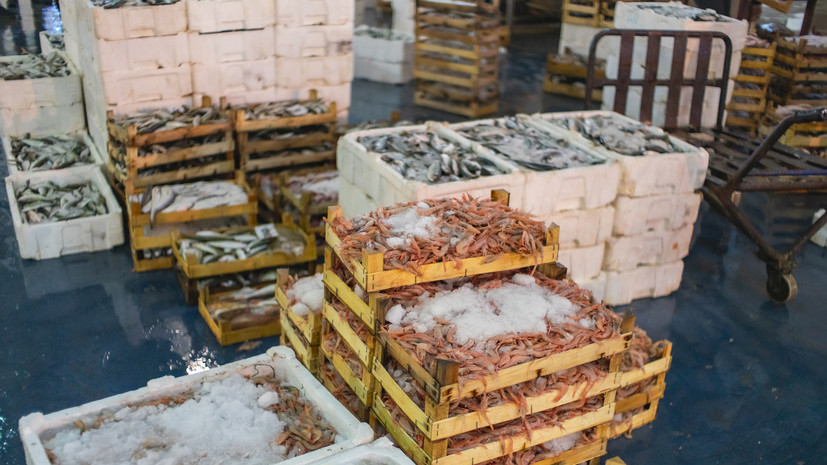 Генсек МИД Бразилии заявила о расширении поставок мяса и рыбы в Россию