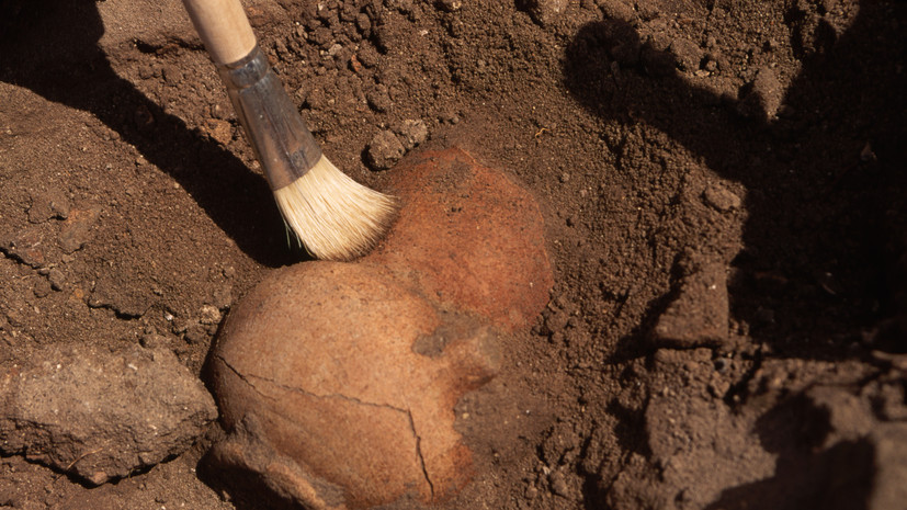 Археолог Ермакова рассказала о находках на раскопках в ХМАО в 2023 году