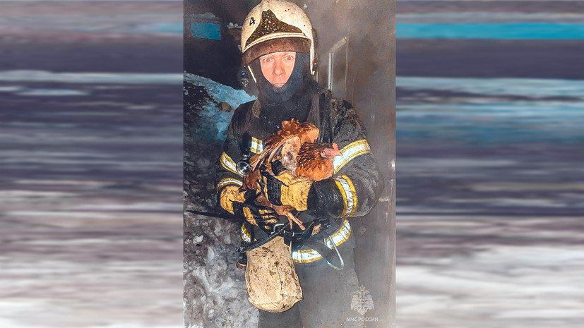МЧС спасли 23 курицы при пожаре в Омской области