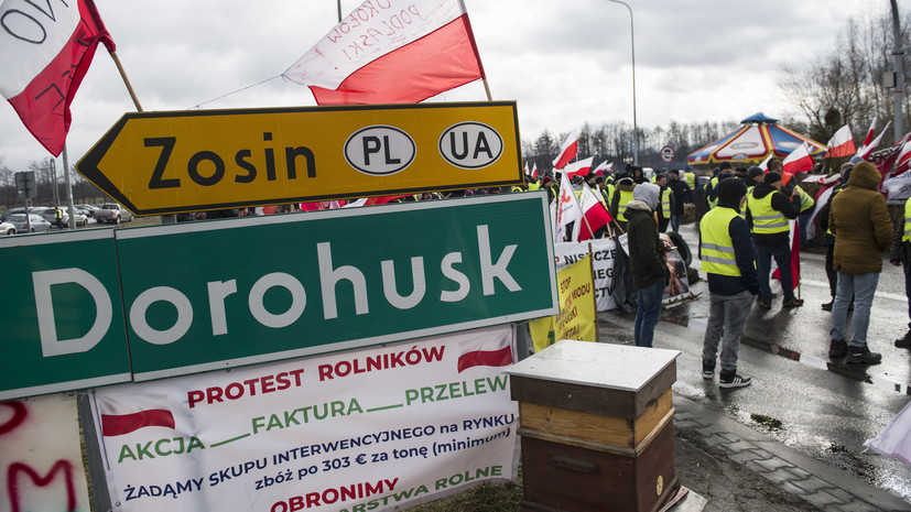 Зерно раздора: как развивается ситуация вокруг протестов польских фермеров