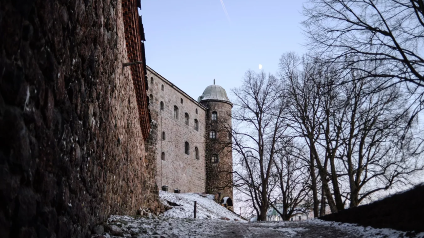 В Выборгском замке установят памятник коту Филимону