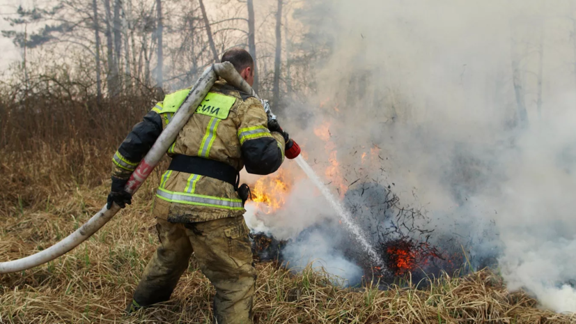 МЧС России: природный пожар тушат около села в Астраханской области