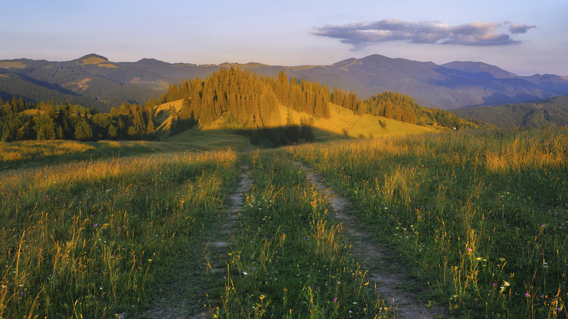 Депутат ЕП Уоллес: крупные компании Запада скупают земли на Украине