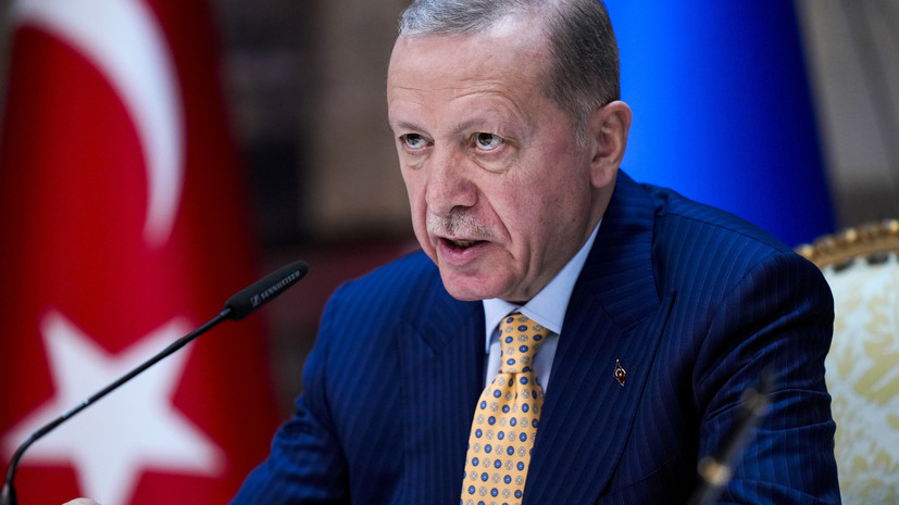 Эрдоган обсудил с Зеленским зерновую сделку и ситуацию с безопасностью
