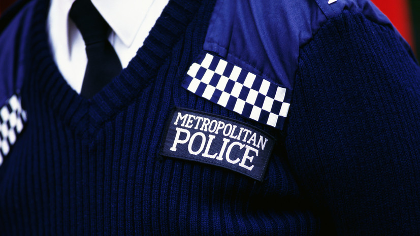 Полиция отпустила под залог мужчину, въехавшего в ворота Букингемского дворца