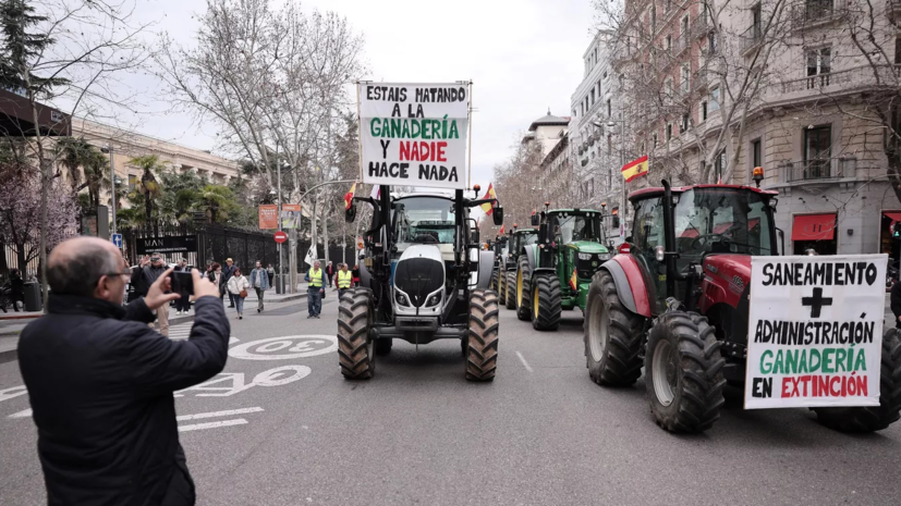 В центре Мадрида проходит акция протеста фермеров на тракторах