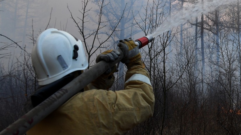 В Удмуртии закупят 20 БПЛА для обнаружения лесных пожаров