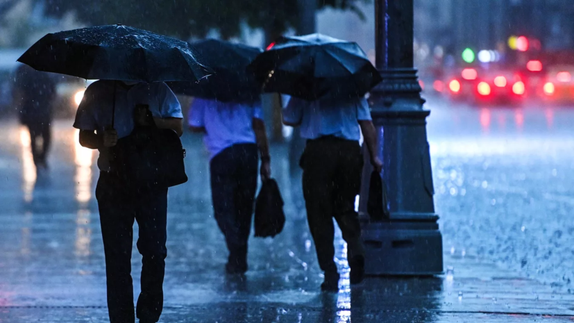 Шувалов спрогнозировал дожди и до +7 °С на выходных в Москве