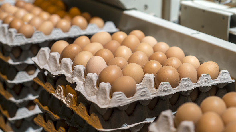 В Минсельхозе России заявили о достаточном уровне производства яиц